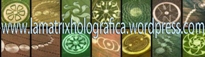 La Matrix Holográfica